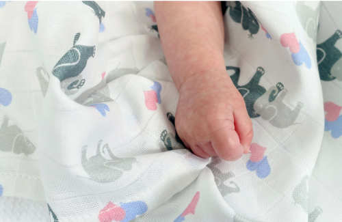 What Are Muslin Squares?