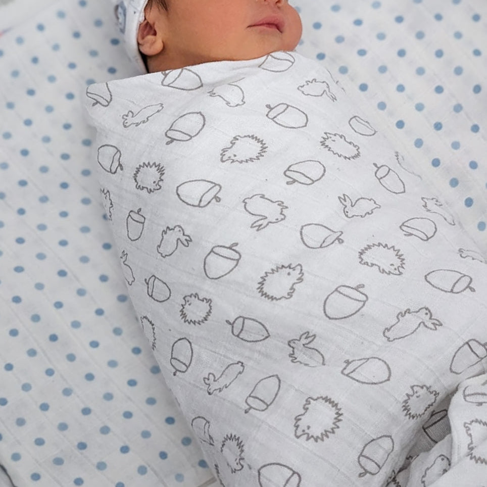 Cotton Muslin Swaddles 2 Pack - Patterned