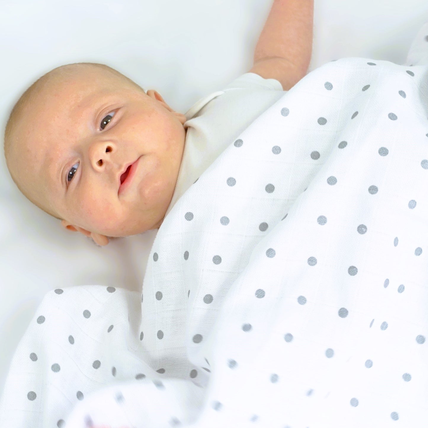 Baby wrapped in a white blanket with gray polka dots on a white background