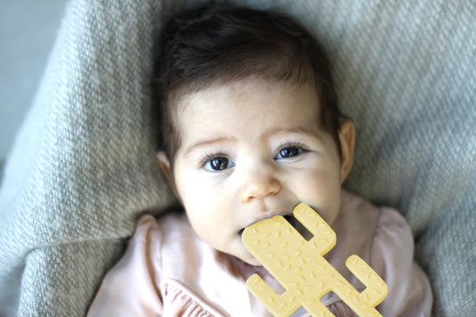 First-time parent guide to teething in babies - MuslinZ