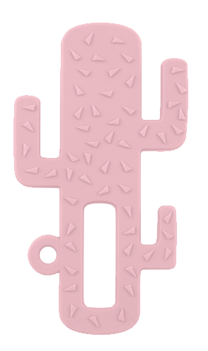 Minikoioi - Cactus Teether