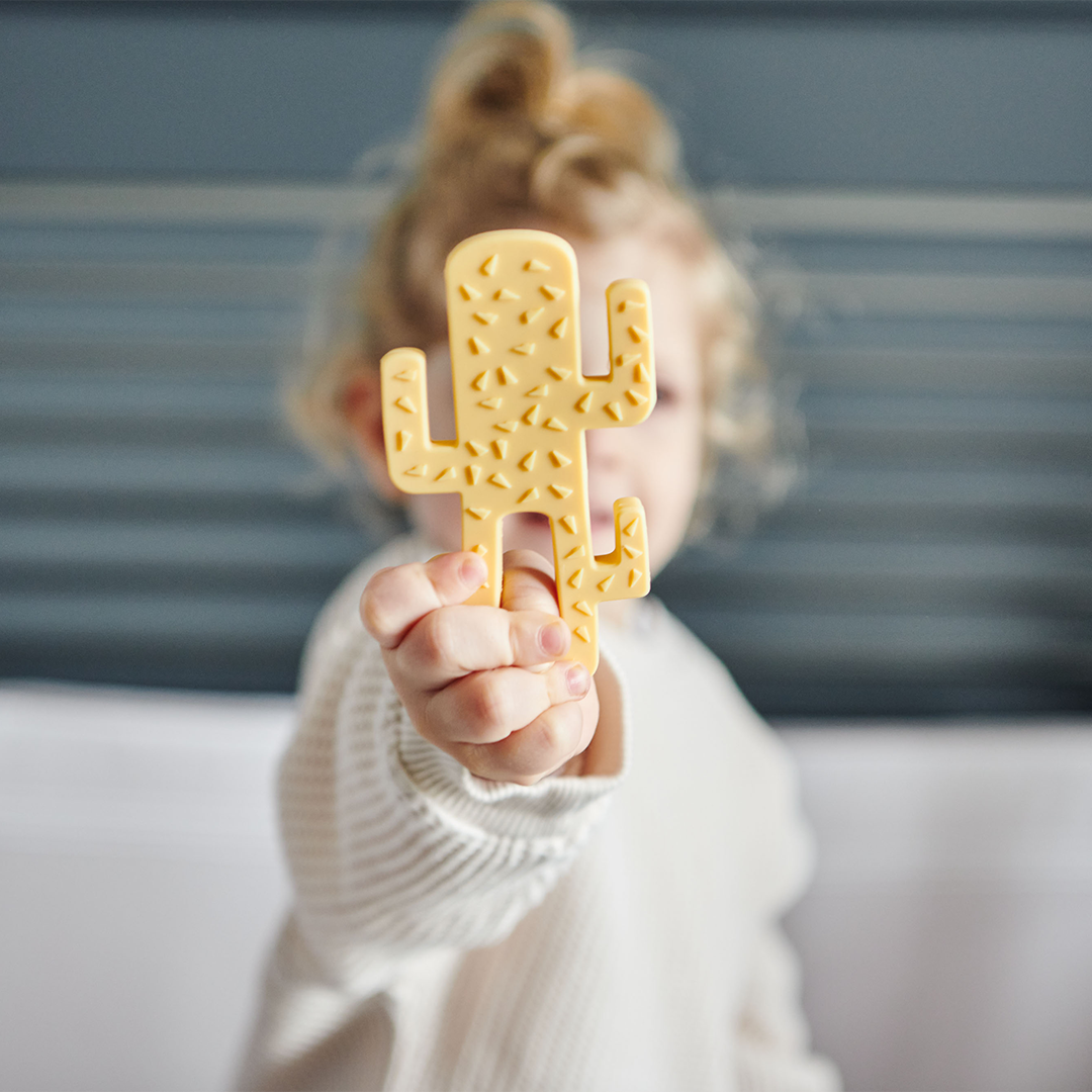 Minikoioi - Cactus Teether