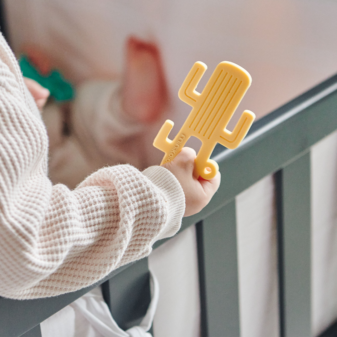 Minikoioi - Cactus Teether