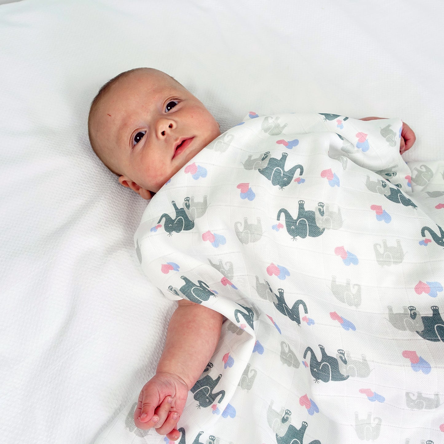 Newborn baby wrapped in a blanket with animal patterns on a white background